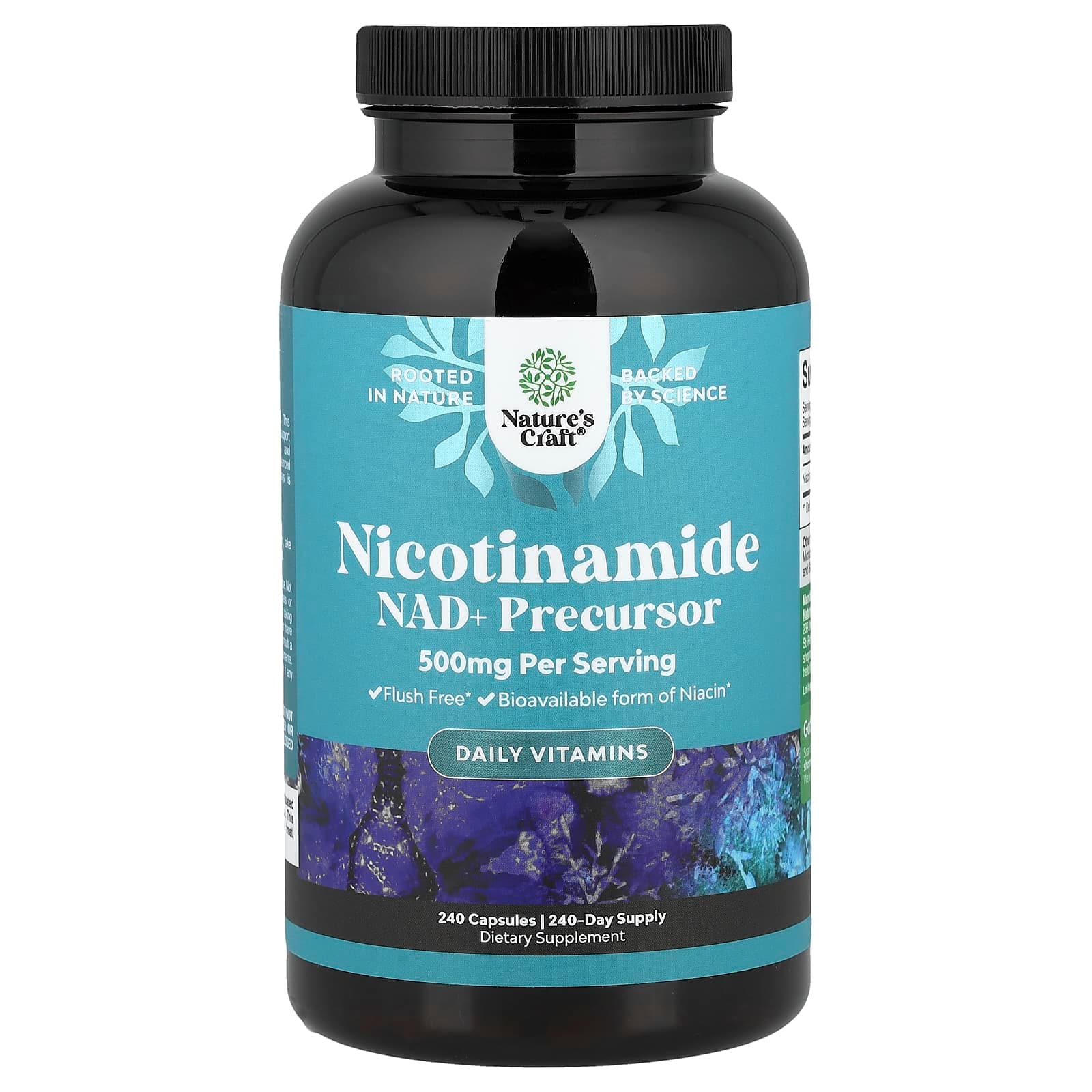 Nature's Craft, Nicotinamide, 500 mg, 240 Capsules