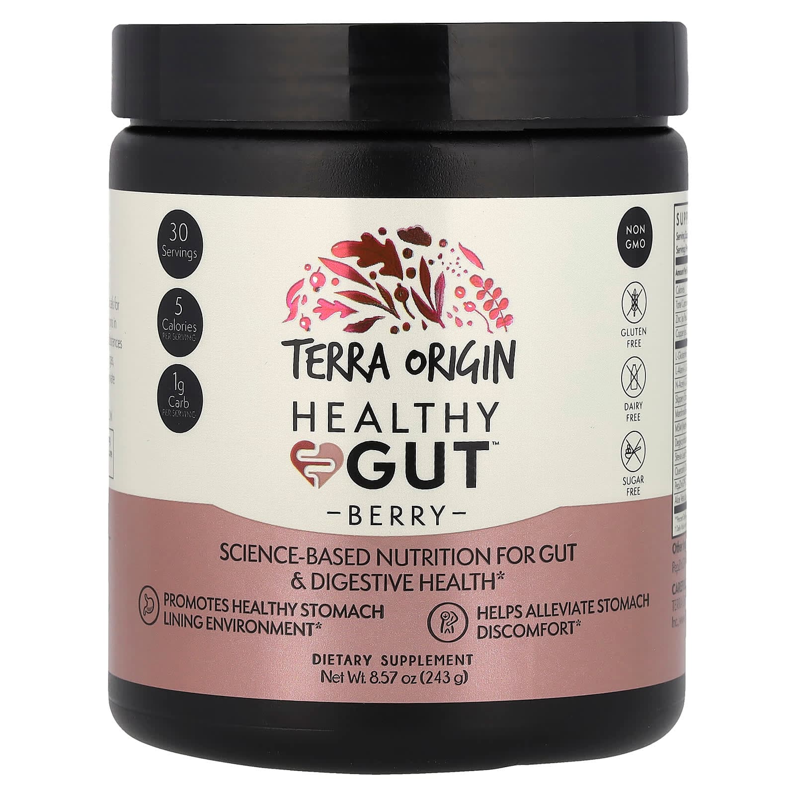 Terra Origin, Healthy Gut™, Berry, 8.57 oz (243 g)